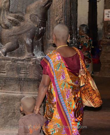 Meenakshi Temple, Madurai,_DSC_8117_H600